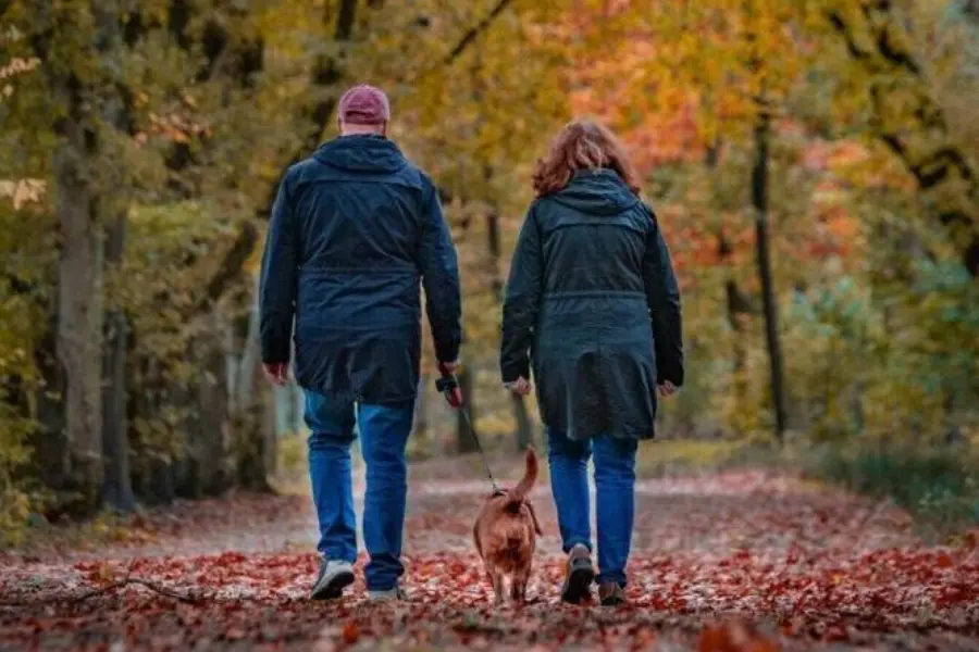 ZH omgeving stel wandelen bos 2