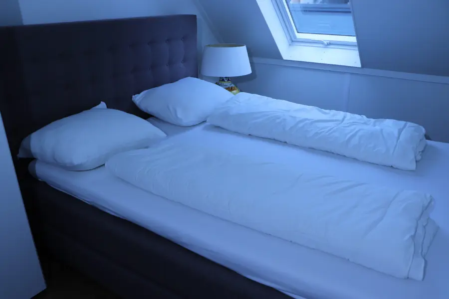 Slaapkamer 1 Duinhuis hond