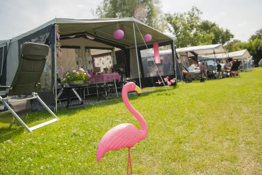 Comfortplaats Camping Zonneweelde