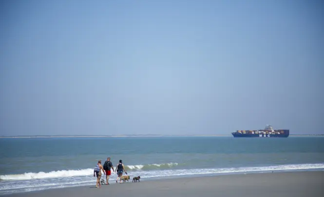 Strand wandelen hond zomer 2023