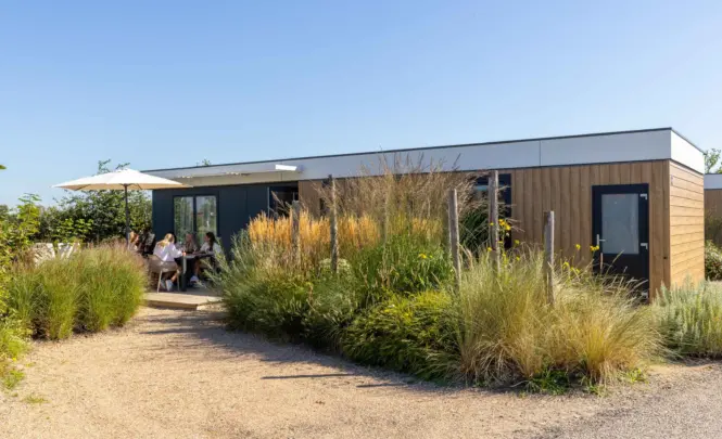 Lodged_Zonneweelde (37 van 140)