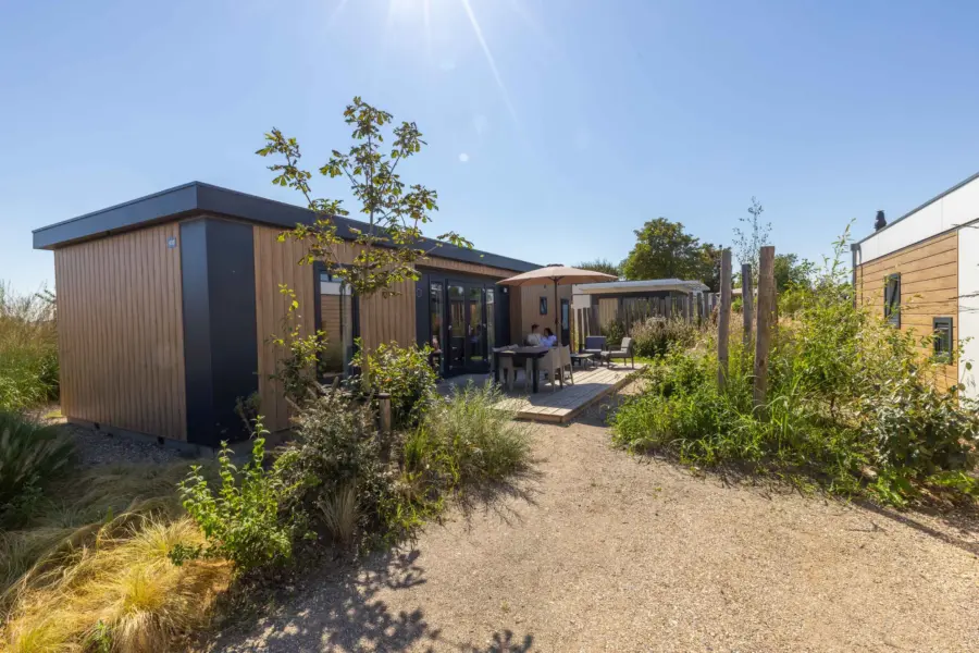 Lodged_Zonneweelde (65 van 140)