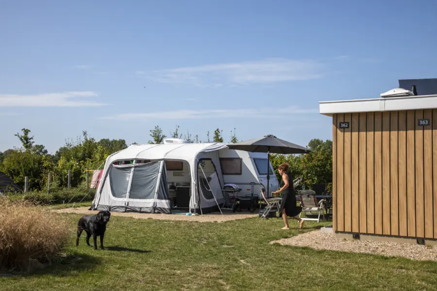 Kamperen prive sanitair hond