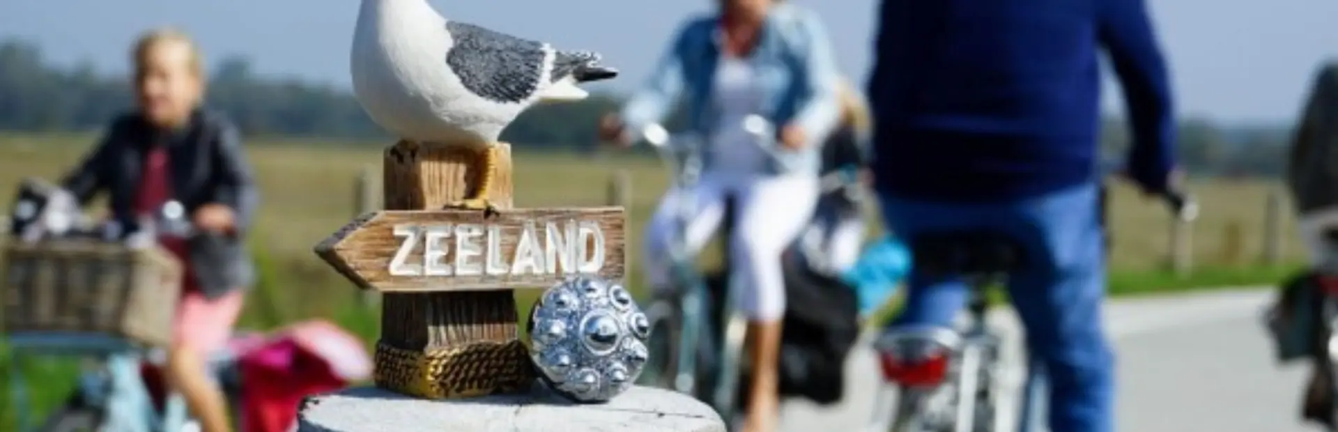 Fiets huren c52bb643