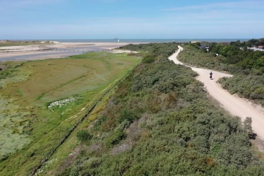 Zwinroute fietspad zicht op zwin