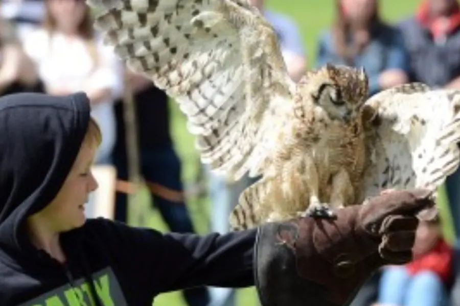 Fotos met vermelding 28facebook bericht 28vierkant 29 29 2832 29