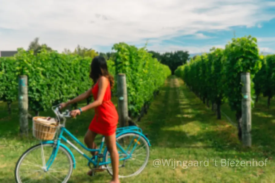 Fotos met vermelding 28facebook bericht 28vierkant 29 29 2834 29