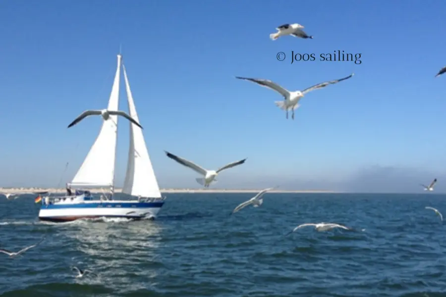 Joos sailing