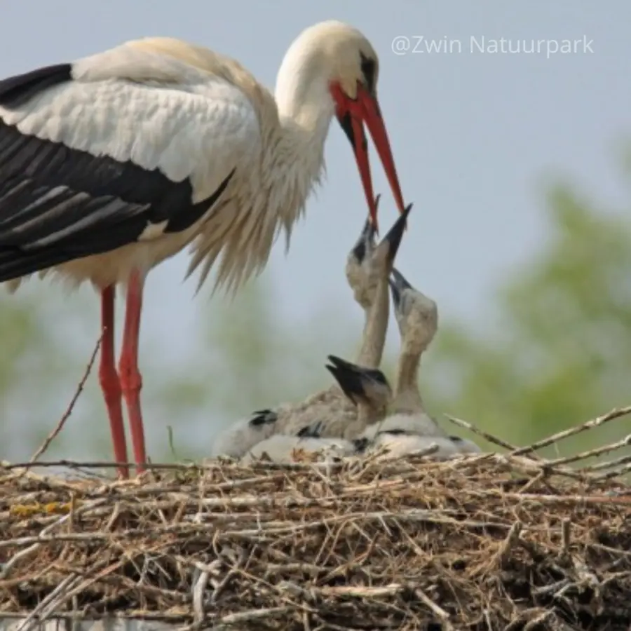 Fotos met vermelding 28facebook bericht 28vierkant 29 29 2831 29
