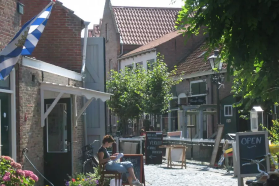 Het vlaemsche erfgoed