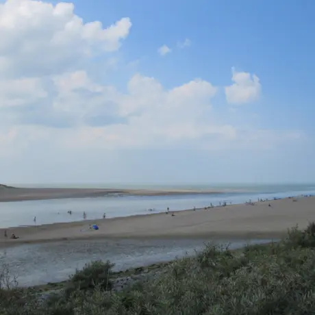 Noordzeestrand - Zwin