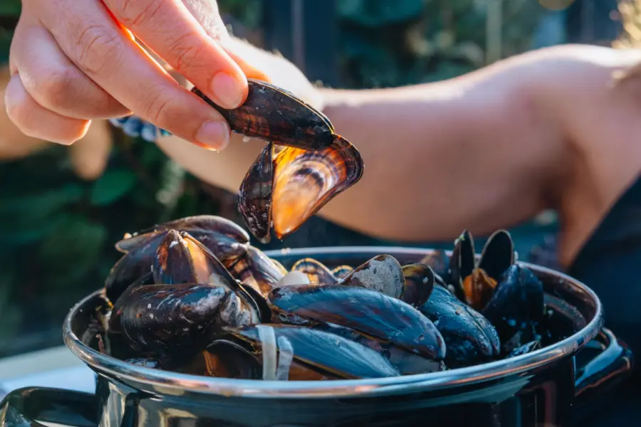 Brasserie mosselen