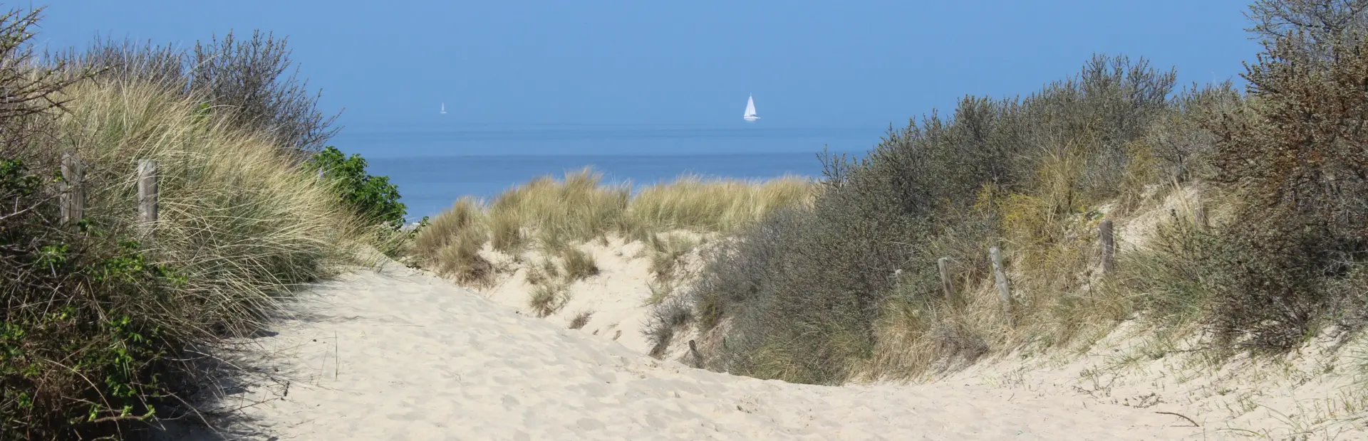 Duinen cadzand