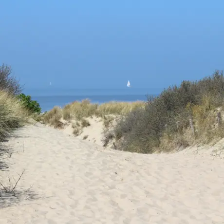 Duinen cadzand