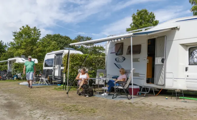 2023 Zwinhoeve 50