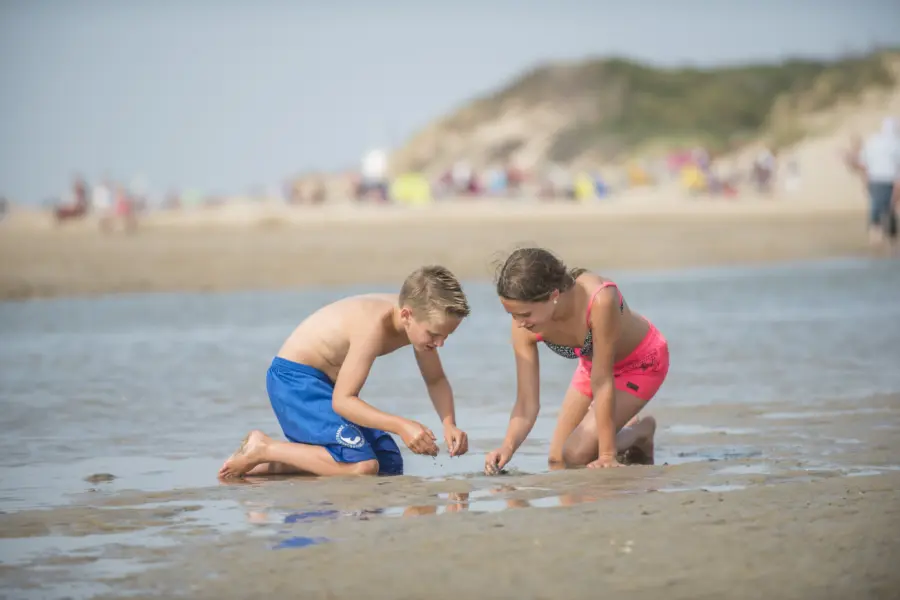 Jongen en meisje zoeken haaientanden