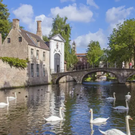 Brugge - Begijnhof - Zwanen