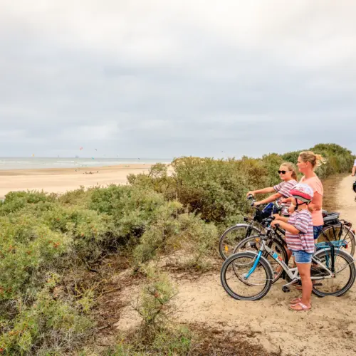 Fietsers op duin 2018