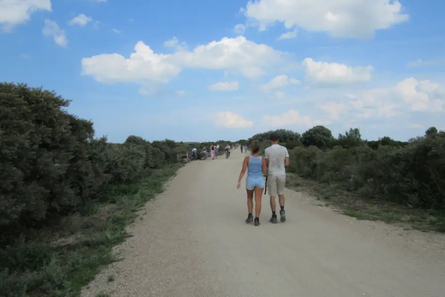 Wandelen in de duinen