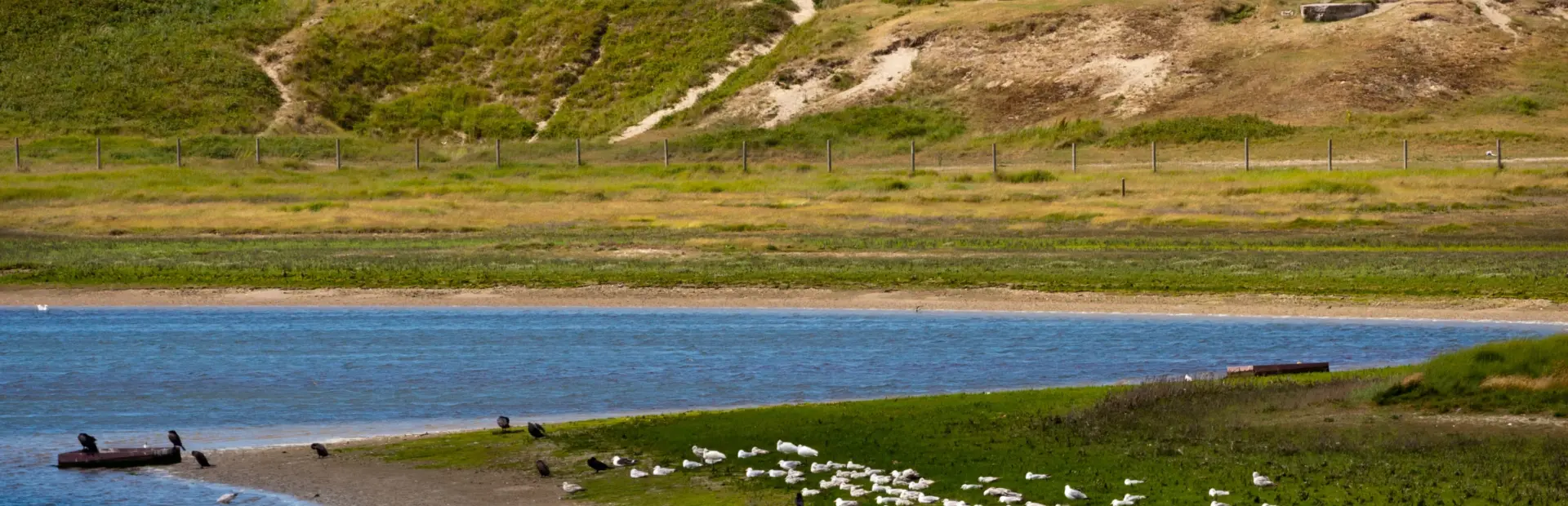 Het Zwin Natuurpark
