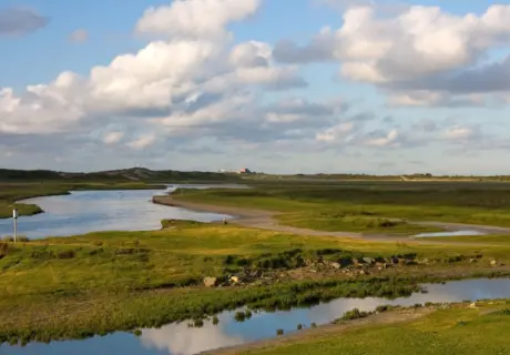 Natuurgebied 't Zwin bij Strandcamping de Zwinhoeve in Retranchement, Zeeland