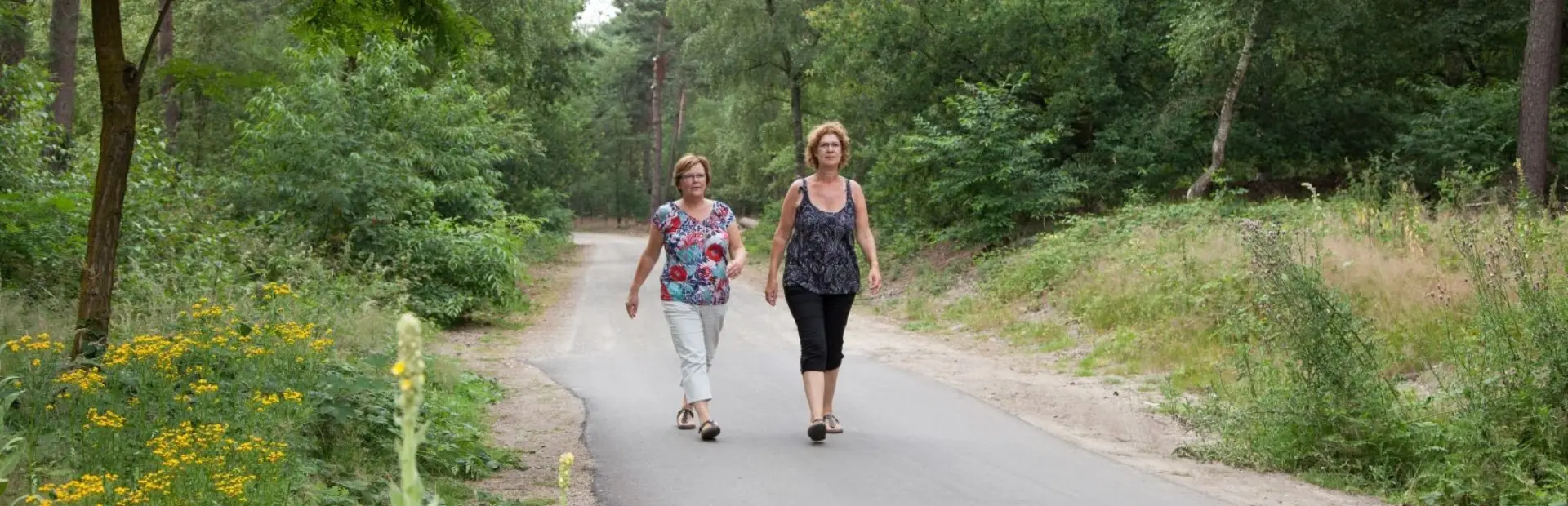 Wandelaars De Ullingse Bergen