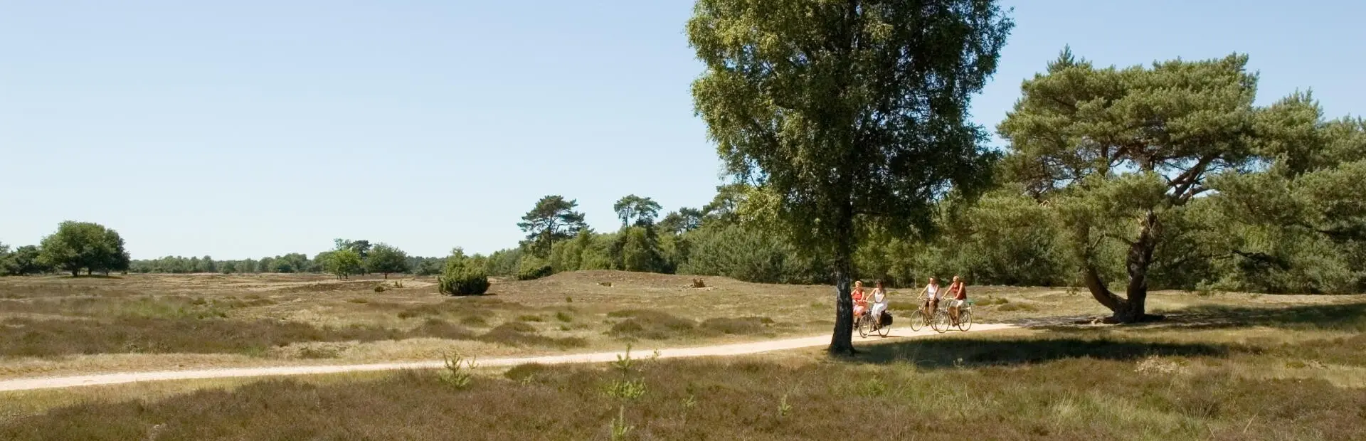 Omgeving De Ullingse Bergen - 6