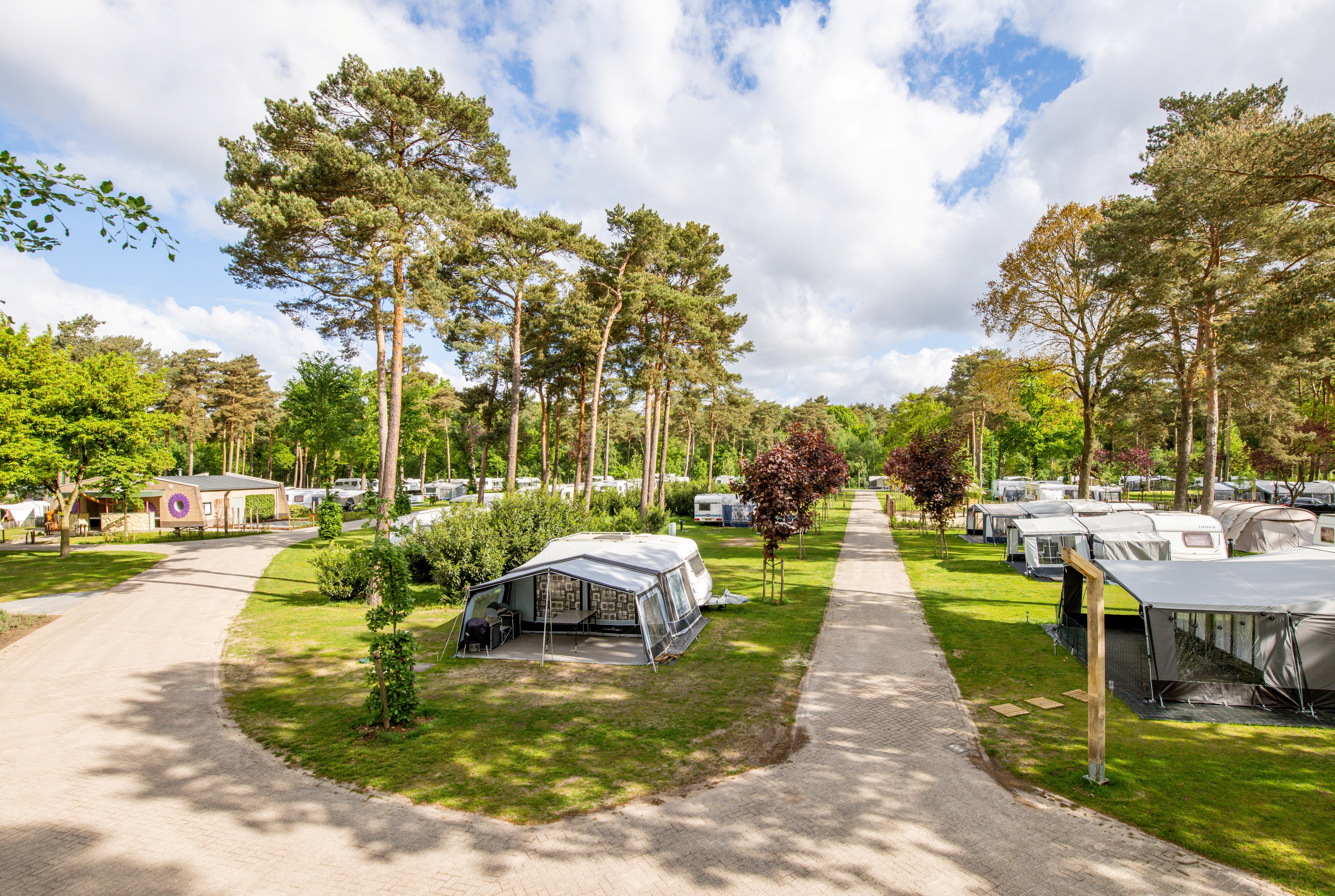 Ardoer De Heldense Bossen sfeerfoto 4