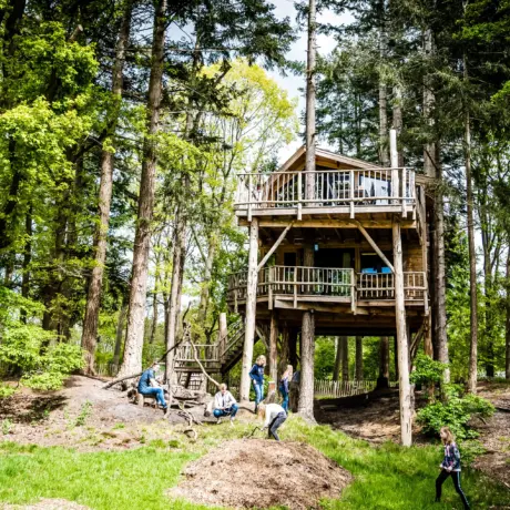 Camping Torentjeshoek kamperen in Drenthe Ardoer boomhut slapen