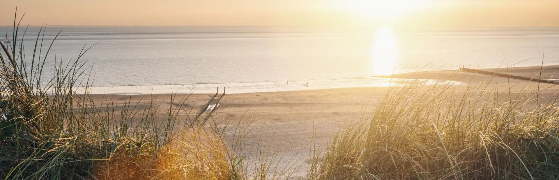 Dreamstime m 108465776