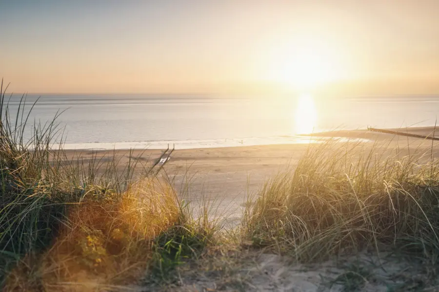 Dreamstime m 108465776