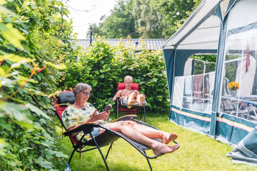 Nazomeren kamperen - Ginsterveld