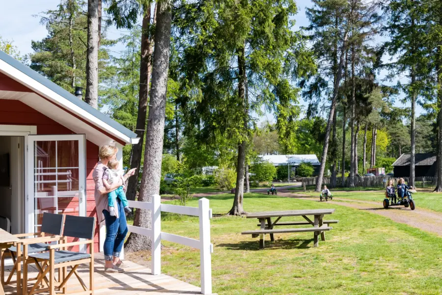 Ardoer herfstvakantie in Nederland