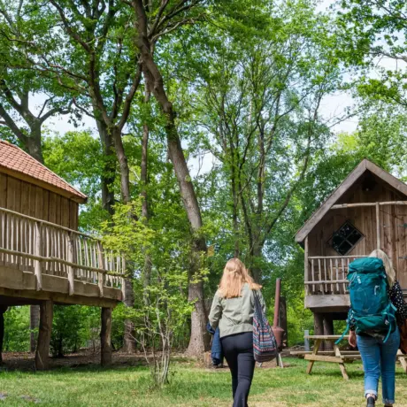 Torentjeshoek 2020 tenthuisjes grote veld 40