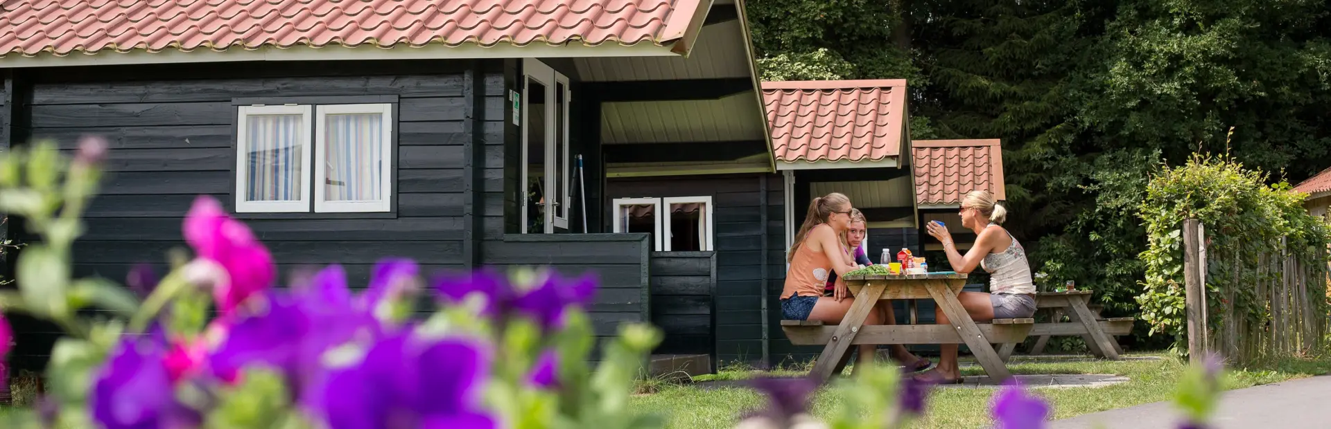 Huren - Trekkershut Noetselerberg bloemen