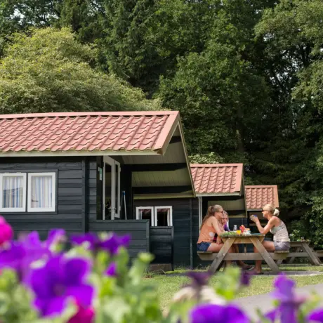 Huren - Trekkershut Noetselerberg bloemen