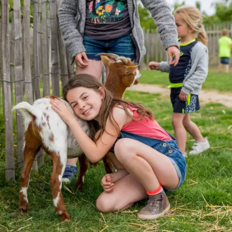 Meulinge - Campings met kinderboerderij