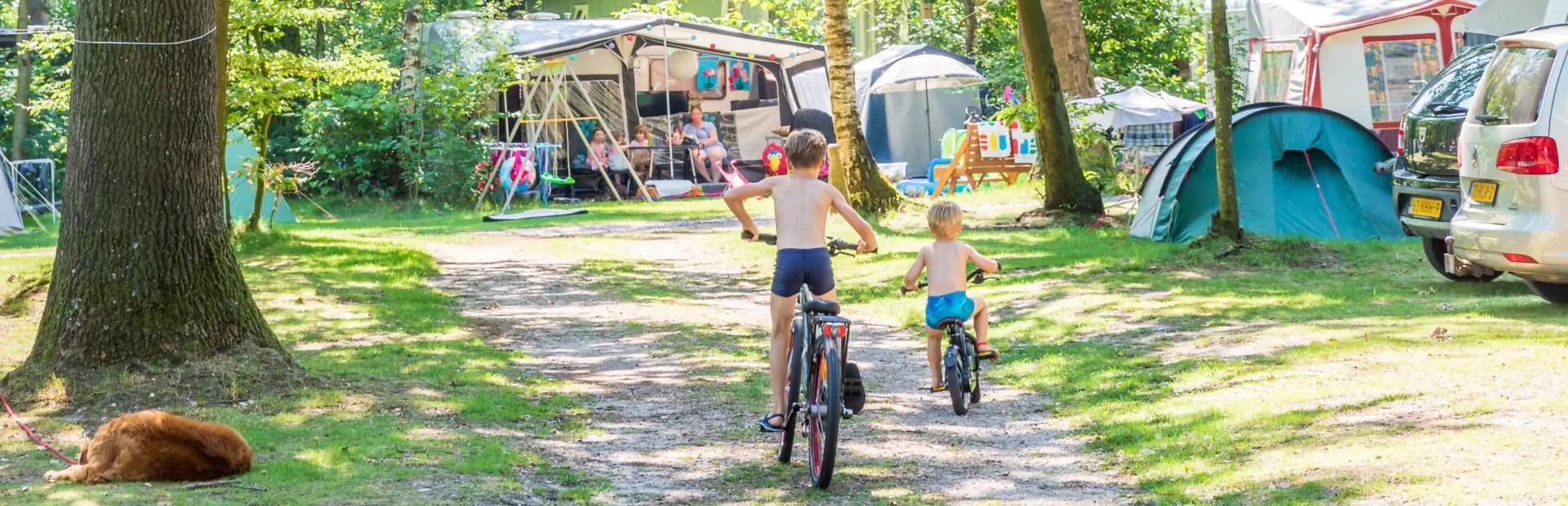 Camping Jutberg in het bos