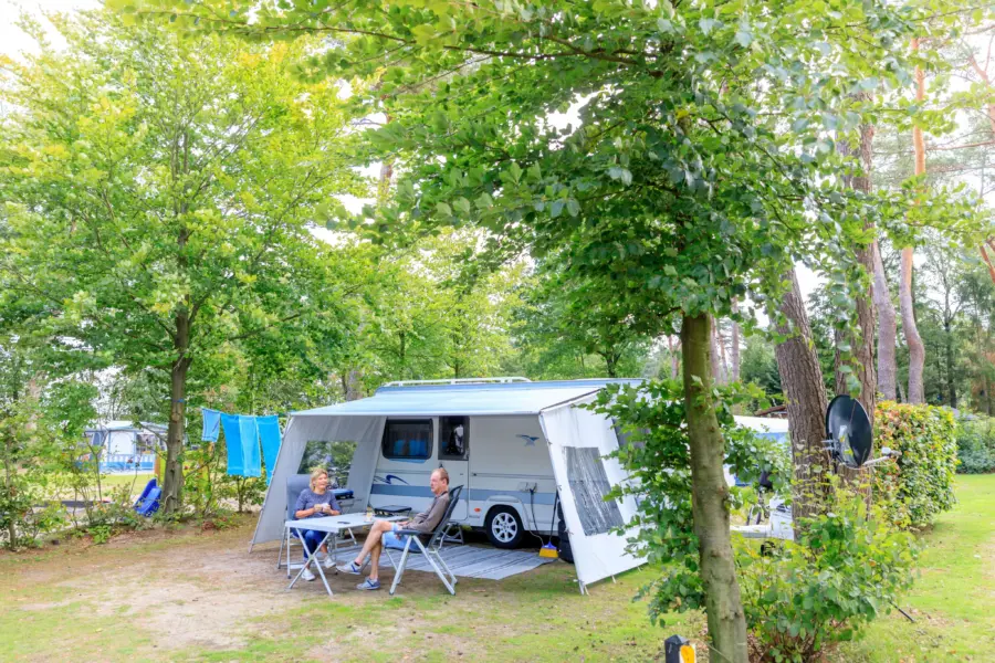 55+ Camping