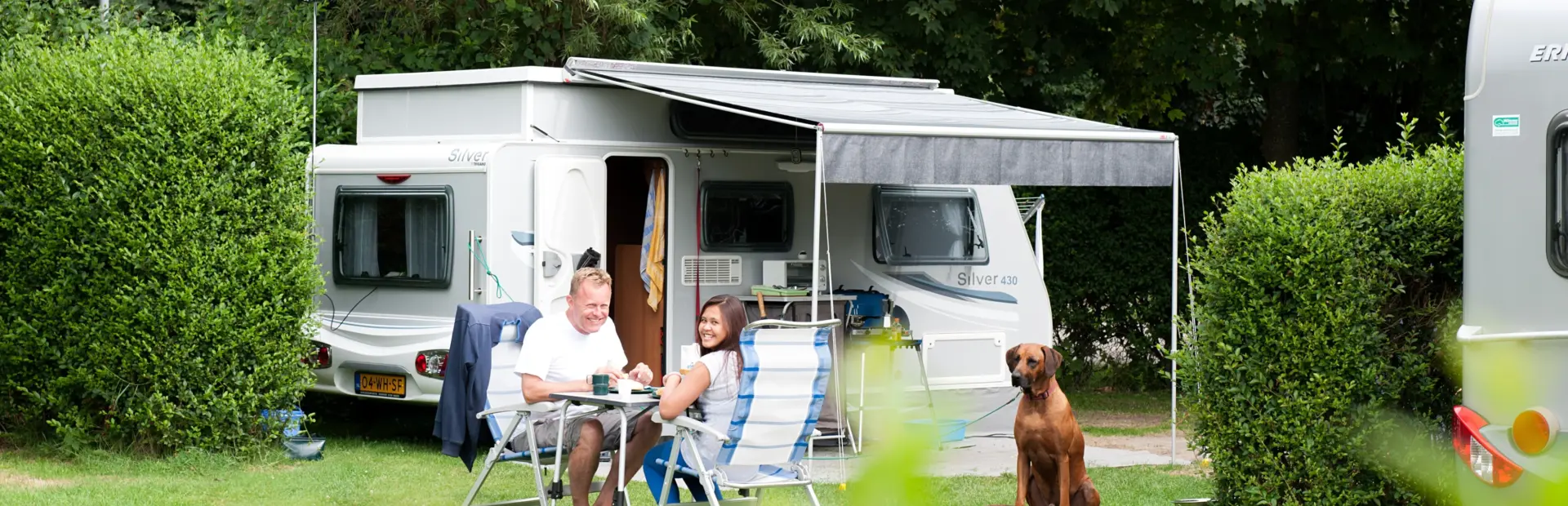 Duinoord zeeland kampeerplaats bruine hond