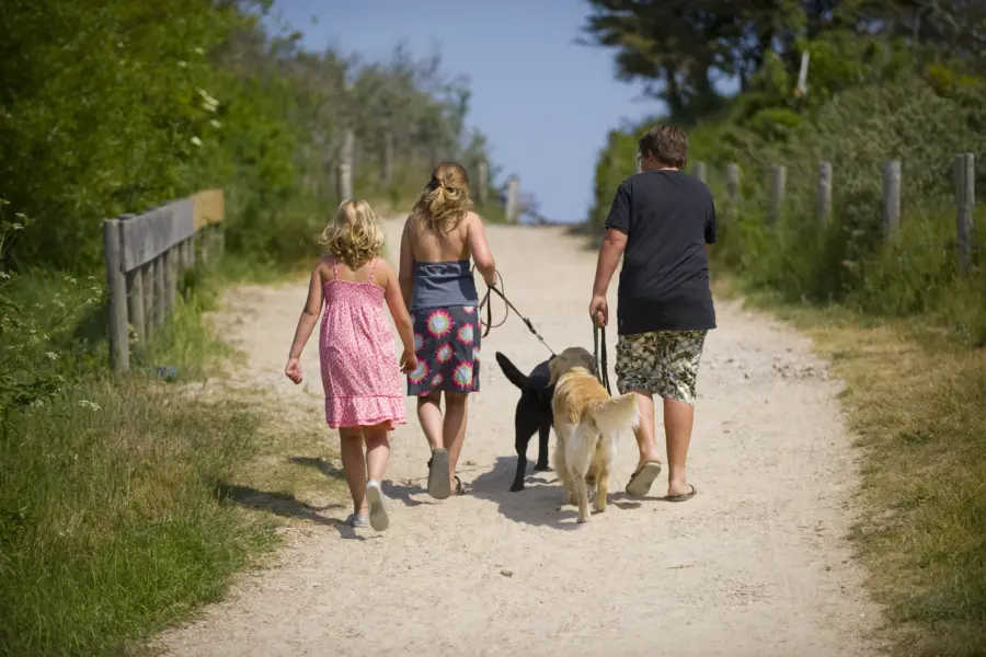 Zeeland hond studios
