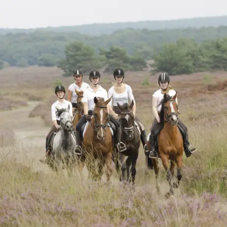 Manege - Buitenrit Veluwe
