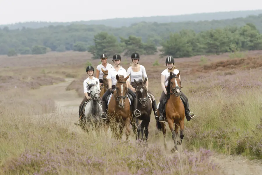 Manege - Buitenrit Veluwe