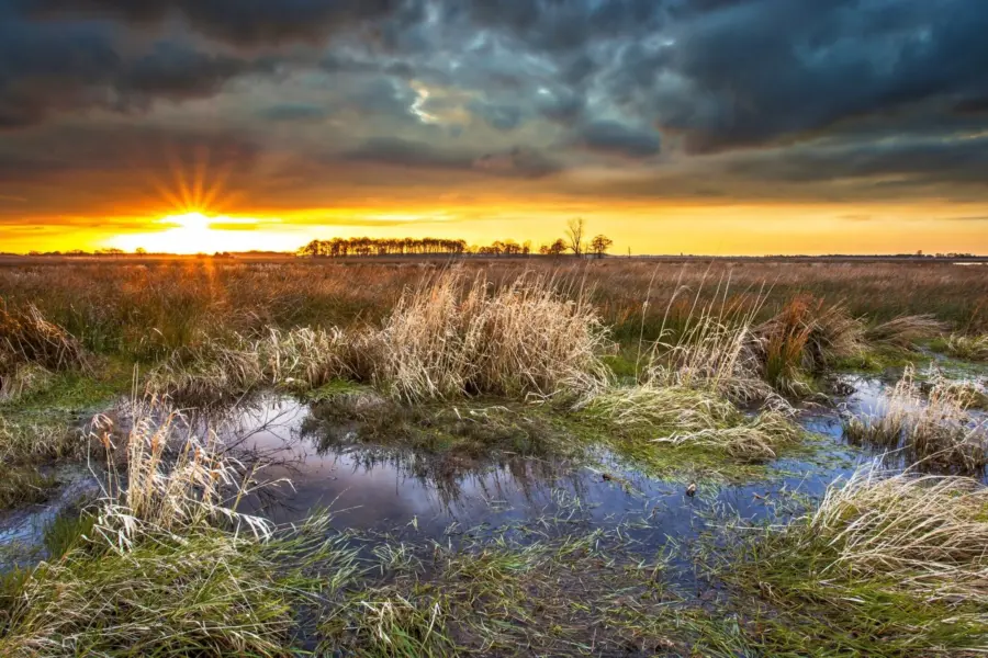 3ad3c5d5 c2a1 4ad4 8eec 14450fe726ce