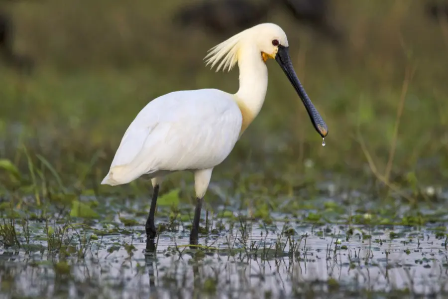 90d627a6-a5bb-430b-bf43-13a9d45b9e77