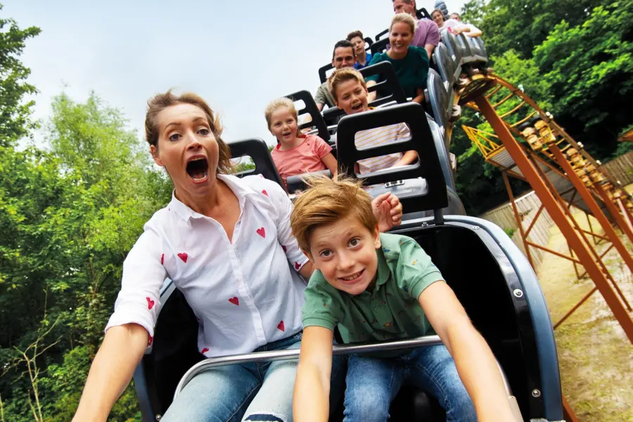 Drako Companions 2023