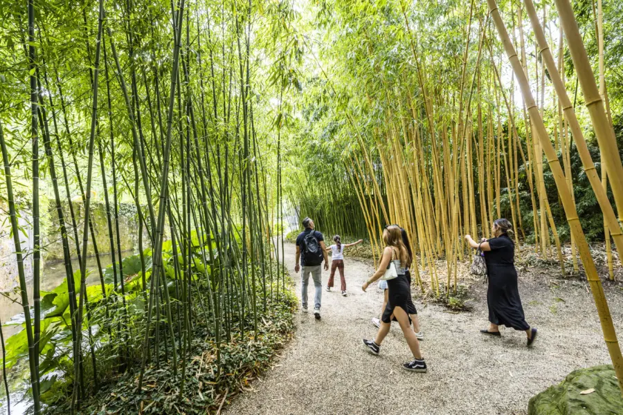 Kasteeltuinenarcen zomer 2817 29