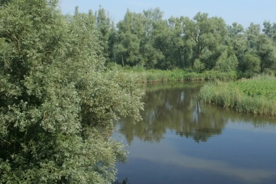 2016099.150132.487-Impressie1