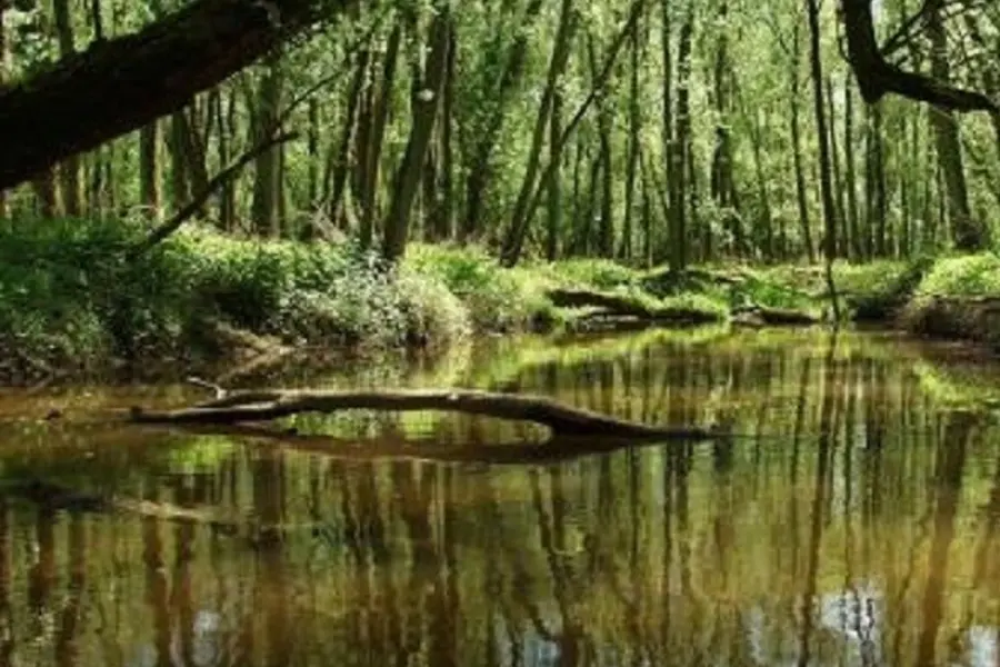 2016099.150225.376-Impressie3