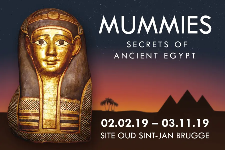 Dm2 osj visual mummies 10x15 liggend 2 update